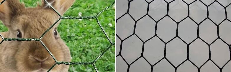 hexagonal wire mesh