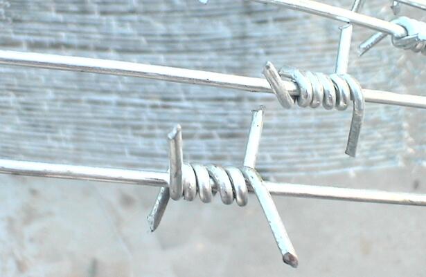 galvanized barbed wire