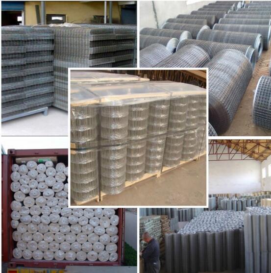 stainless steel chicken wire manufacturers