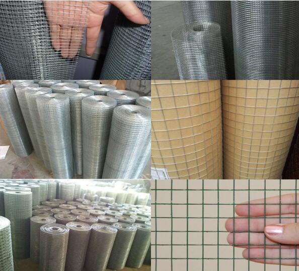 stainless steel chicken wire manufacturers