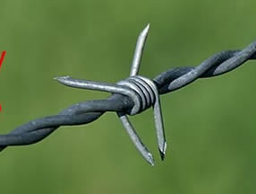 pvc coated barbed wire