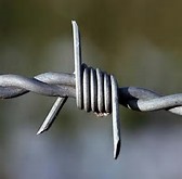 hot-dip zinc plating barbed wire