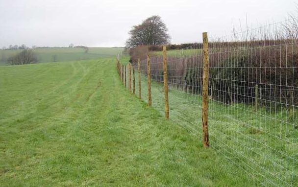  livestock wire netting 