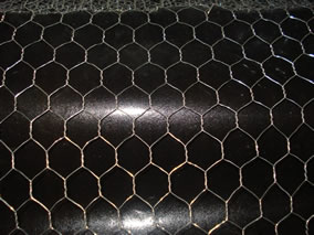 Hexagonal Wire Mesh