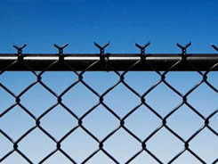 Chain Link Fence